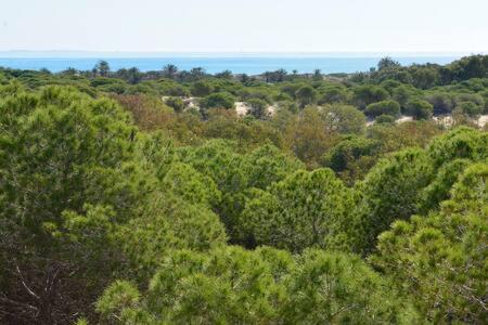 Casa Felipa, Una Estancia Unica En La Costa Blanca 과다마르델세게라 외부 사진